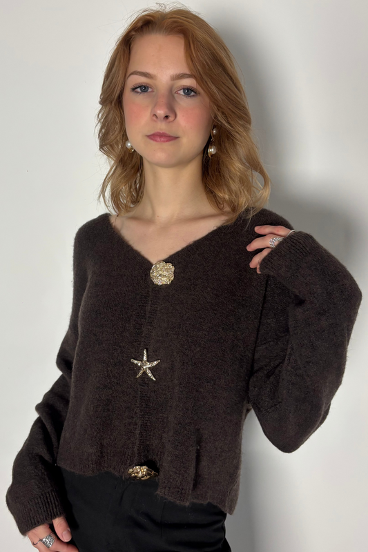 Gilet broches marron